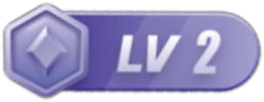 LV2 等级-LV2-vv衣学院